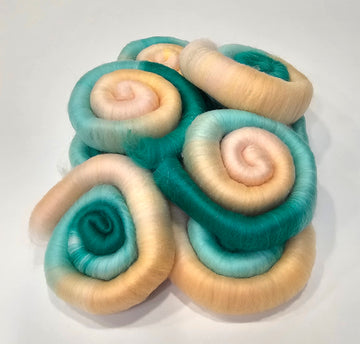Seashell Shore Spin