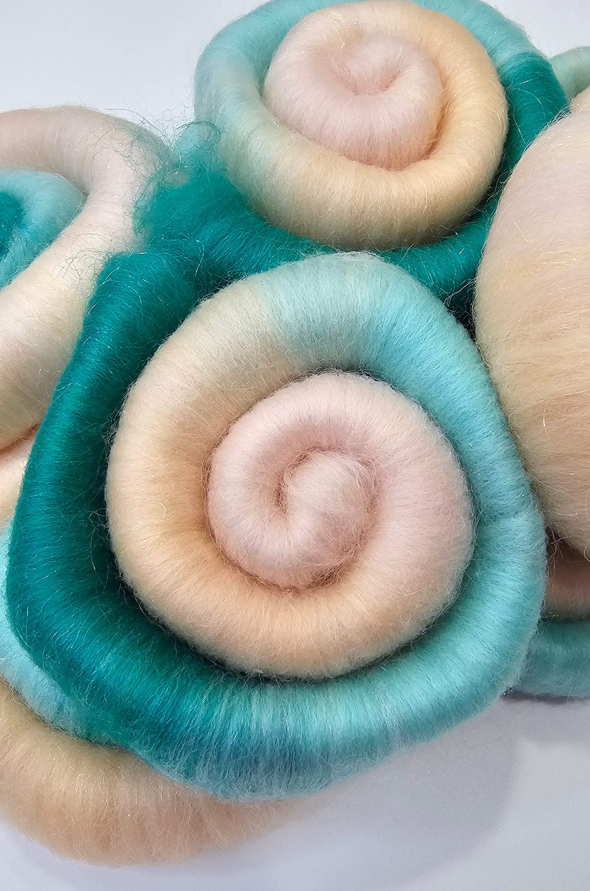 Seashell Shore Spin